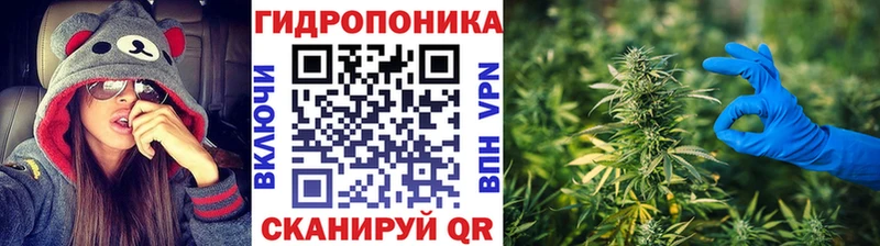 Виды наркотиков купить Калтан Марихуана  A PVP  Меф 
