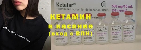 сатива Алзамай